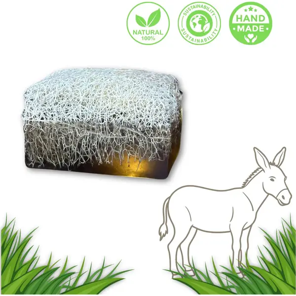 De Vitamineshop - Zeep - Natuurlijke Donkey Milk Soap Blok Met Luffa – 100% Natuurlijke & Handgemaakte Scrubzeep - Handzeep - Douchezeep - Cadeau - thumbnail