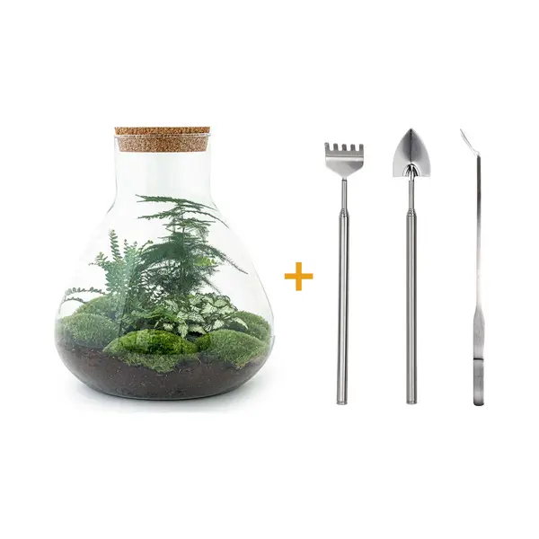 UrbanJngl Terrarium - Sam Xl - ↑ 35 Cm - Ecosysteem Plant - Kamerplanten - Diy Planten Terrarium - Mini Ecosysteem- Inclusief Hark + Schep + Pincet thumbnail