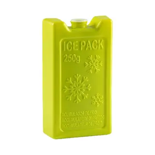 Plasticforte 250 Grams Koelelementen 13 X 7.5 X 3 Cm Groen Plastic