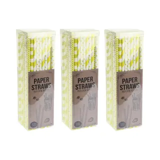 Excellent Houseware Papieren Drinkrietjes - 300x - Geel - 20 Cm