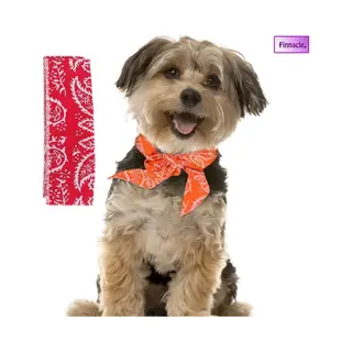 Finnacle - Honden Bandana -Stijlvolle Hond - Tegen Kou En Hete Zon In De Nek - Rood