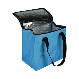 Benson Koeltas 12 Liter - Compact En Duurzaam - Voor Outdooractiviteiten