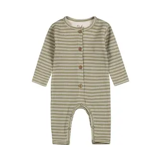 Dirkje Boxpak Light Faded Green 56