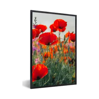 PosterMonkey Fotolijst Incl. Poster - Klaproos - Bloemen - Rood - Paars - Weide - 40x60 Cm - Posterlijst