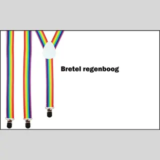 Bretel Regenboog - Thema Feest Festival Carnaval Pride Rainbow