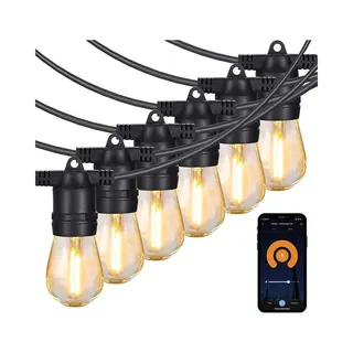 Gologi Lichtsnoer Buiten En Binnen - Lichtslinger 10M - Tuinverlichting Led - Warme Sfeerverlichting 2700K - Waterdicht - Smart Verlichting Met App -