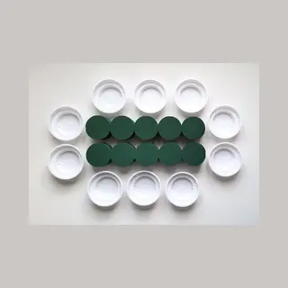 mosy Steekschuim - Rondjes Nat - 10 X Groen - Ø 8 - Hoogte 5 Cm + 10 X Kunststof Witte Schaaltjes - Ø 12 Cm – Hoogte 3.5 Cm - Kerststukje