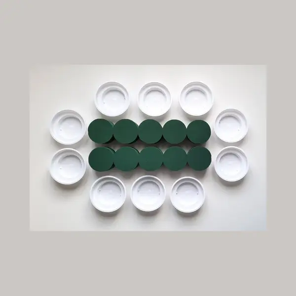 mosy Steekschuim - Rondjes Nat - 10 X Groen - Ø 8 - Hoogte 5 Cm + 10 X Kunststof Witte Schaaltjes - Ø 12 Cm – Hoogte 3.5 Cm - Kerststukje thumbnail