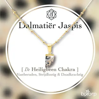 Bixorp Edelsteen Ketting Dalmatiër Jaspis Met 18k Verguld Goud - Chakra Hanger - Roestvrij Staal - 36cm + 8cm Verstelbaar