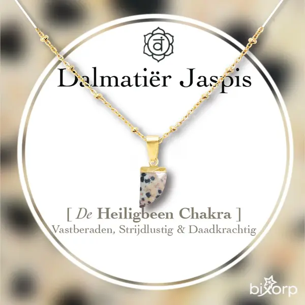 Bixorp Edelsteen Ketting Dalmatiër Jaspis Met 18k Verguld Goud - Chakra Hanger - Roestvrij Staal - 36cm + 8cm Verstelbaar thumbnail