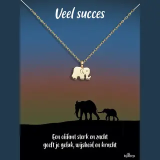 Bixorp Luck Olifant Cadeau Ketting - 18k Verguld Goud Stainless Steel - Cadeau Voor Succes / Geluk / Afscheid