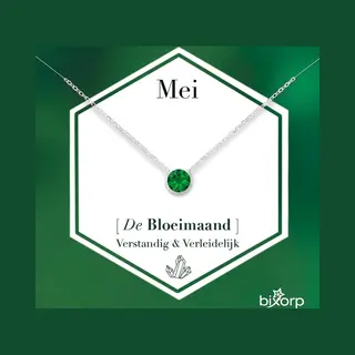 Bixorp Geboortesteen Ketting Mei - Zilverkleurig Roestvrij Staal Met Zirkonia Hanger - Stainless Steel - Smaragd