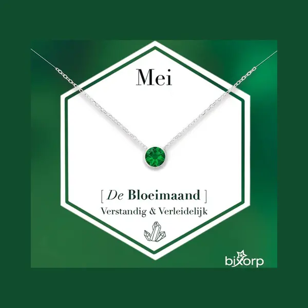 Bixorp Geboortesteen Ketting Mei - Zilverkleurig Roestvrij Staal Met Zirkonia Hanger - Stainless Steel - Smaragd thumbnail