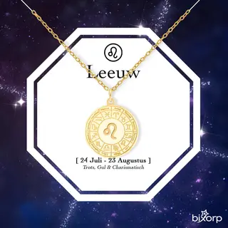Bixorp Stars Sterrenbeeld Ketting Leeuw / Leo - Stainless Steel Medailon Met Goud Verguld - 45cm Ketting Met Zodiac Hanger - Inclusief Cadeau