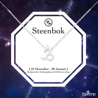 Bixorp Stars Sterrenbeeld Ketting Steenbok / Capricorn - Stainless Steel - 45cm Ketting Met Zodiac Hanger - Inclusief Cadeau Verpakking