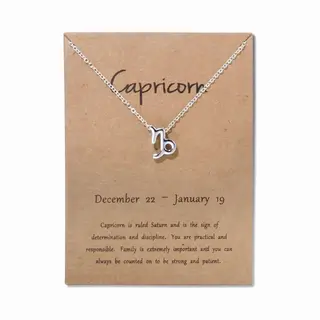 Bixorp Stars Steenbok / Capricorn Ketting - Zilverkleurige Ketting Op Cadeau Kaartje - Sterrenbeeld / Zodiac Hanger