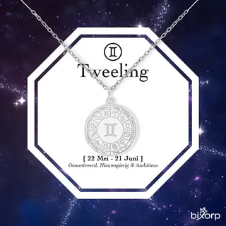 Bixorp Stars Sterrenbeeld Ketting Tweeling / Gemini - Stainless Steel Medailon Zilverkleurig - 45cm Ketting Met Zodiac Hanger - Inclusief Cadeau