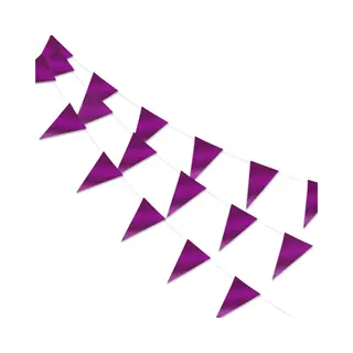 Q2P - Slingers - Verjaardag - Versiering - Vlaggenlijn - Feestartikelen - Feest - Decoratie - Halloween - Slinger - Paars