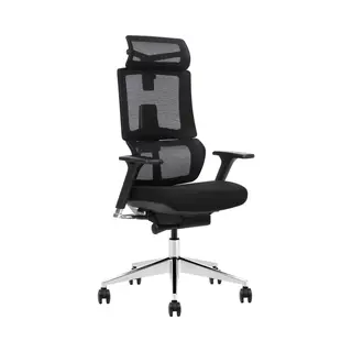 Stane Elite Ergonomischer Bürostuhl – Schreibtischstuhl [3D-Armlehnen Und Lendenwirbelstütze] Gaming-Stuhl Bis Zu 150 Kg [verstellbare