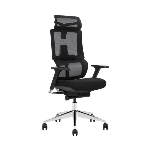 Stane Elite - Bureaustoel - Ergonomisch - Zwart thumbnail