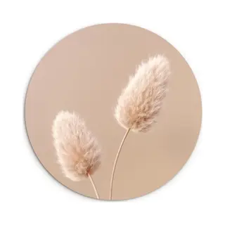WallCircle® Wandcirkel 120x120 Cm - Muurcirkel Pampas Pluimen - Beige - Planten - Aardetonen - Muurdecoratie Woonkamer - Wanddecoratie Slaapkamer -