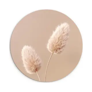 WallCircle® Wandcirkel 90x90 Cm - Muurcirkel Pampas Pluimen - Beige - Planten - Aardetonen - Muurdecoratie Woonkamer - Wanddecoratie Slaapkamer -