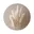 Beige, Pampas pluimen