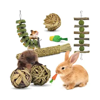 Speelgoed - Konijn - Knaagdier - Snacks En Speeltjes - Wilgen