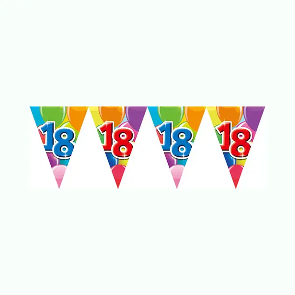 We Fiesta 2x Vlaggenlijn 18 Jaar 10 Meter Dubbelzijdig Bedrukt - Verjaardag Feestje Vlag Vlaggen Versiering Slinger Feestdecoratie Decoratie thumbnail