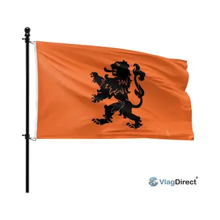 VlagDirect - Oranje Leeuw Vlag - Oranje Voetbal Vlag - Nederlands Elftal Vlag - Hollandse Leeuw Vlag - 90 X 150 Cm.