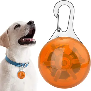 Cheaperito Veiligheidslamp Voor Hond I Led Honden Cadellight I Dierenlampje I Lampje Hondenhalsband I Oranje
