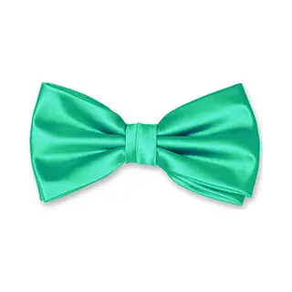 Sorprese Strik - Aqua/Groen - Vlinderdas - Vlinderstrik - Vlinderdassen - Satijn - Voorgestrikt - Cadeau