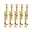 Matatabi 10 Stuks