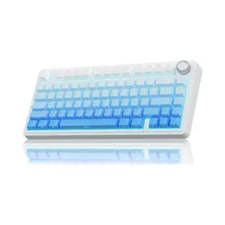 Epomaker X Aula F75 - Blauw - Side Printed - Mechanisch Draadloos Toetsenbord - Rgb - 75% - Qwerty - Gaming Keyboard - Leobog Reaper Switch