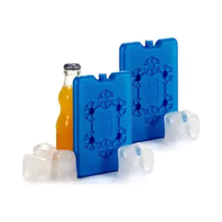 Arte r Koelelementen Extra Plat - 2x - Blauw - 11 X 2 X 16 Cm - Koelblokken - Voor Koeltas/koelbox