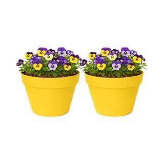 Mega Collections Plantenpot / Bloempot - 2x - Kunststof - Geel - Binnen/buiten - D26 X H22 Cm