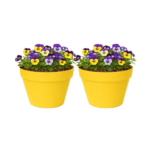 Mega Collections Plantenpot / Bloempot - 2x - Kunststof - Geel - Binnen/buiten - D26 X H22 Cm thumbnail