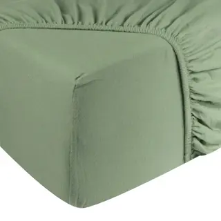DoubleDry Spannbettlaken Jersey 90x200cm - 100% Baumwolle - Spannbetttuch - 28cm Steg - Grün