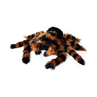 Mikamax Reuzentarantula (30 cm)