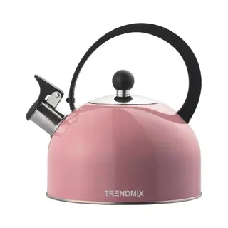 Trendmix Fluitketel Roze 2, 5 Liter – Lichtgewicht Rvs – Cool-Touch Handvat – Geschikt Voor Inductie, Gas En Alle Warmtebronnen