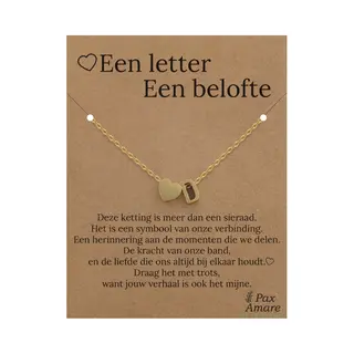 Letter D Ketting Op Cadeau Kaartje - Een Letter, Een Belofte - 45cm Goudkleurig Stainless Steel - Initiaal & Hartje Hanger - Pax Amare