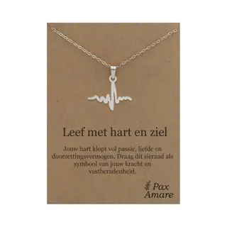 Stainless Steel Levenslijn Ketting Op Cadeau Kaartje - Leef Met Hart En Ziel - 45cm Zilverkleurig Roestvrij Staal - Pax Amare