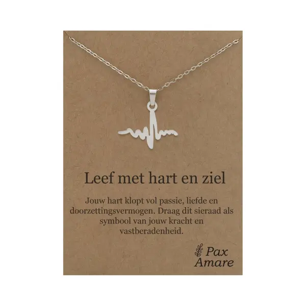 Stainless Steel Levenslijn Ketting Op Cadeau Kaartje - Leef Met Hart En Ziel - 45cm Zilverkleurig Roestvrij Staal - Pax Amare thumbnail
