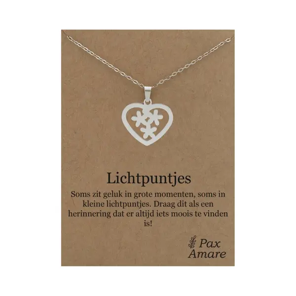 Stainless Steel Hartje Met Bloemetjes Ketting Op Cadeau Kaartje - Lichtpuntjes - 45cm Zilverkleurig Roestvrij Staal - Pax Amare thumbnail