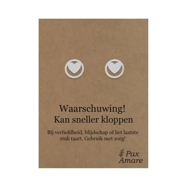 Pax Amare Stainless Steel Hartje Oorbellen Op Cadeau Kaartje - Waarschuwing! Kan Sneller Kloppen - ± 10x10mm Oorknopjes Zilverkleurig Roestvrij Staal - Pax thumbnail