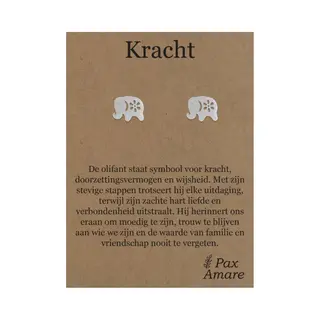 Stainless Steel Olifant Oorbellen Op Cadeau Kaartje - Kracht - ± 10x10mm Oorknopjes Zilverkleurig Roestvrij Staal - Pax Amare