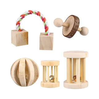 Naleo™ Knaagdieren Speelgoed - Set 5 Delen - Konijnen Speelgoed - Speelgoed Voor Cavia - Hamster Speeltjes - Konijnen Speeltjes - Speelgoed Voor