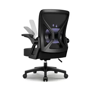 Hiaonyx Bureaustoel-Ergonomische Bureaustoel-bureaustoelen Voor Volwassenen-Opklapbare Armleuningen-Lendensteun-Verdikt En Verbreed Zitkussen-Zwart