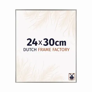 Dutch Frame Factory Fotolijst 24x30 Cm - Kunststof - Champagne - Easy