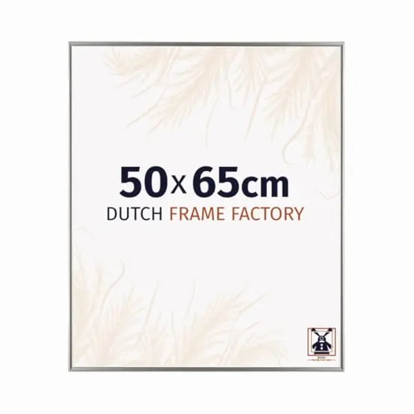 Dutch Frame Factory - Bilderrahmen 50x65 Cm - Champagner - Bilderrhamen Aus Kunststoff Mit Antireflex Kunstglas - Fotorahmen 50x65 Cm - Easy thumbnail